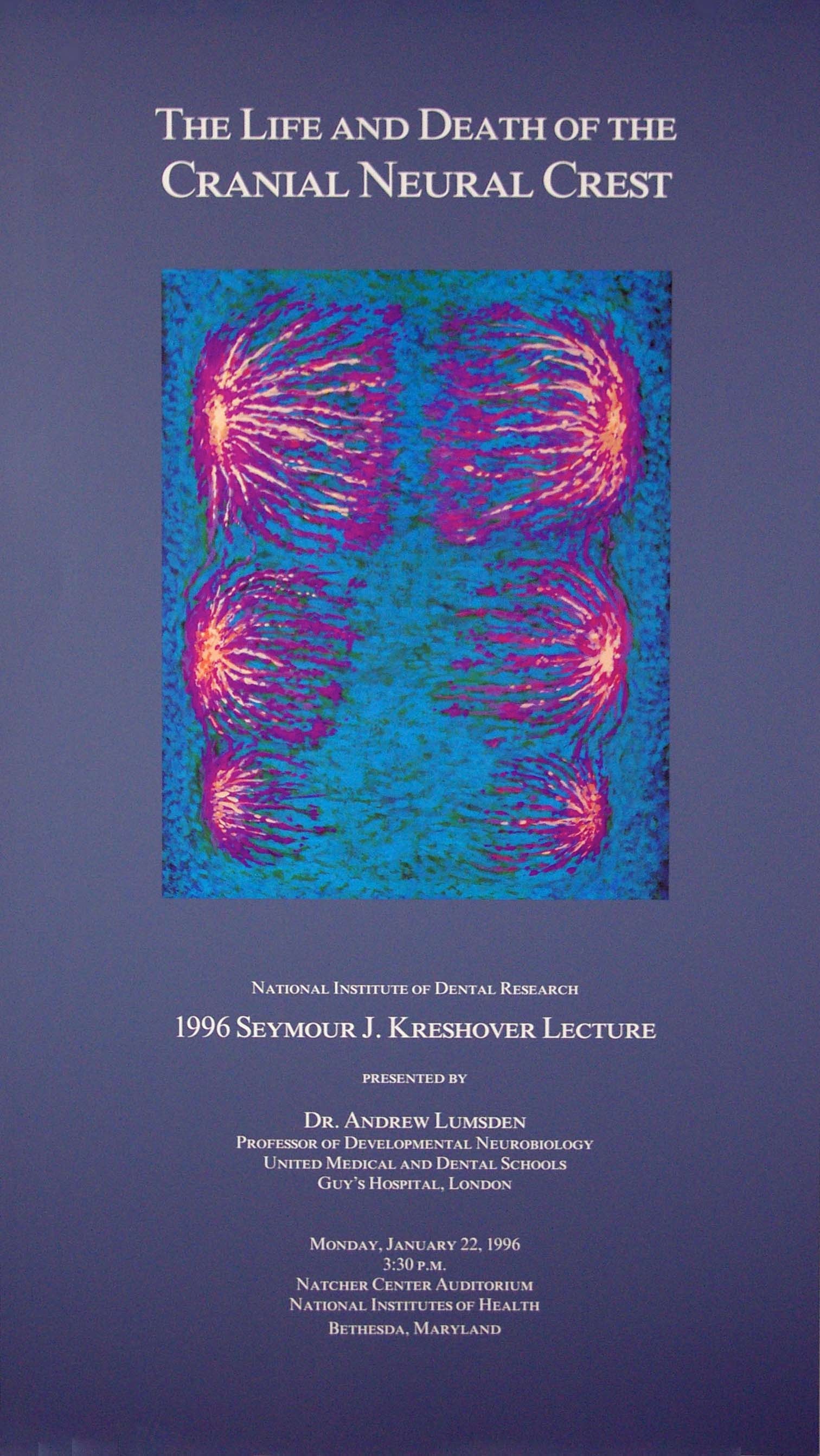 life-and-death-of-cranial-neural-crest-posters-zimmerman-editions-ltd